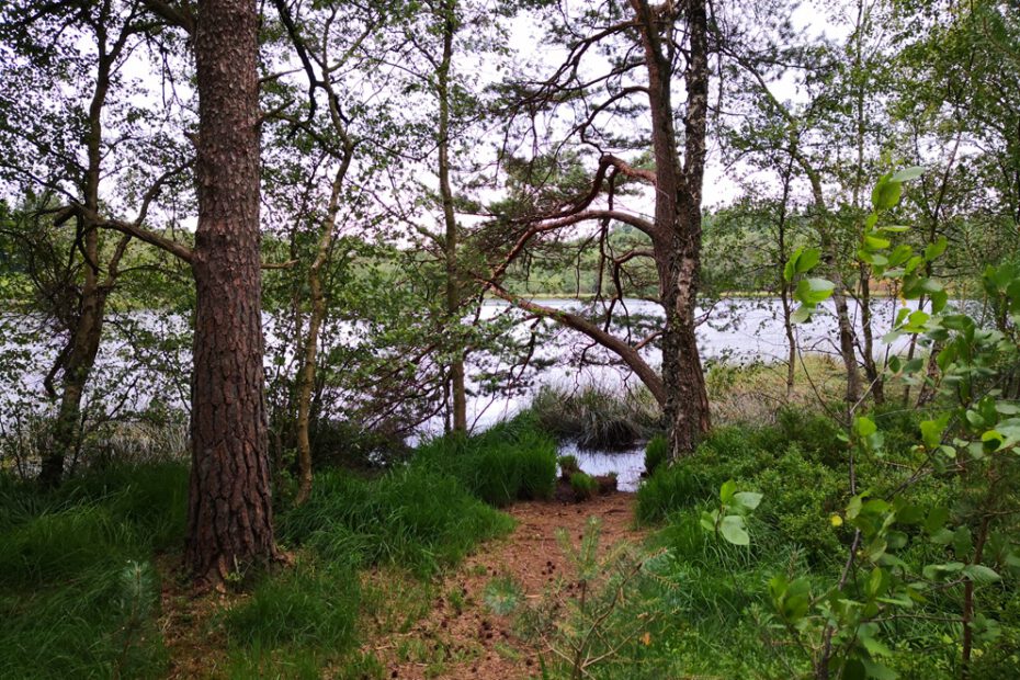Wanderung4