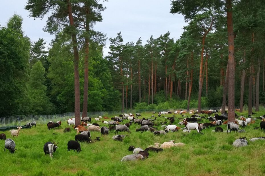 Wanderung8