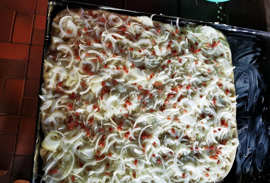Zwiebel11