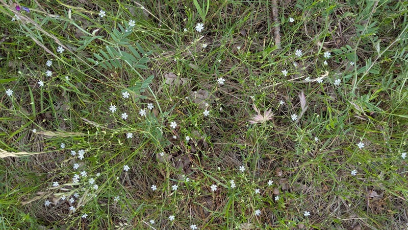 Wanderung10
